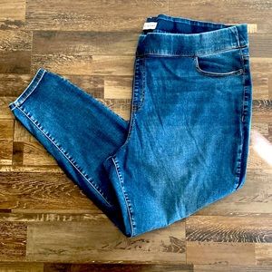 Lane Bryant Jeggings